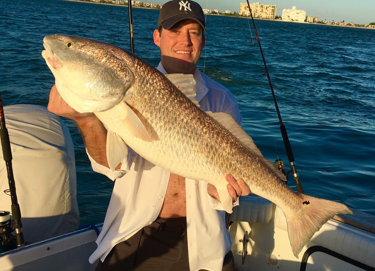 A large catch in the late afternoon